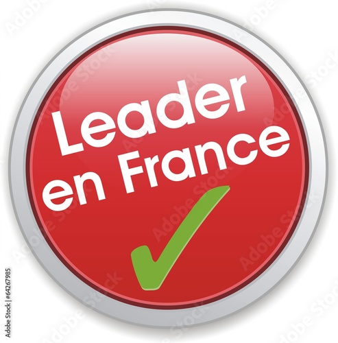 Vector: bouton leader en France bouton leader en France