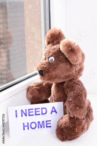 Photo: Toy-bear looking out window close-up Toy-bear looking out window close-up