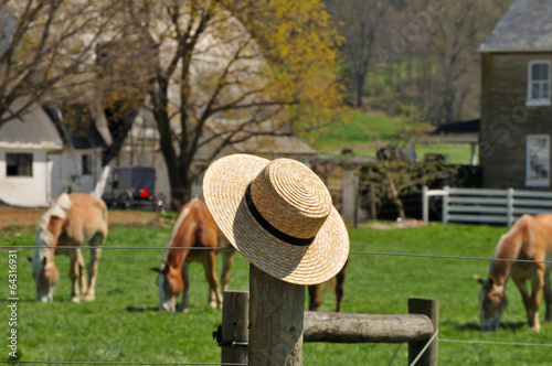 Photo: Straw hat with Amish farm in the background Straw hat with Amish farm in the background