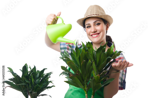 Photo: Woman watering plants on white Woman watering plants on white