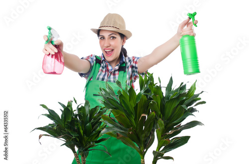Photo: Woman watering plants on white Woman watering plants on white