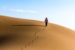 Einsamer Wanderer Einsamer Wanderer