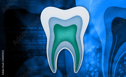 Illustration: tooth structure tooth structure