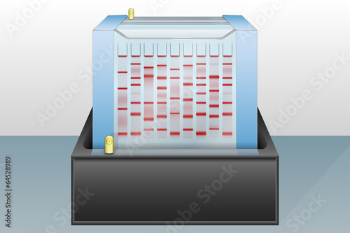 Vector: Gel electrophoresis device vector illustration Gel electrophoresis device vector illustration