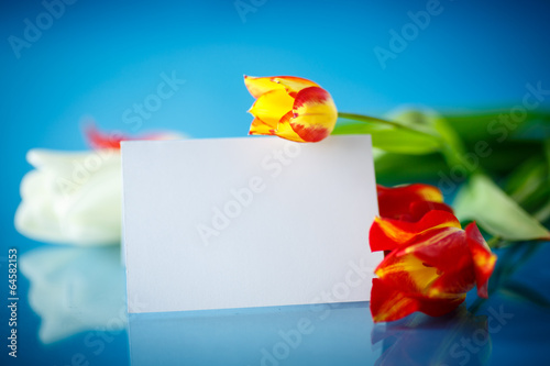 Photo: bouquet of spring tulips bouquet of spring tulips