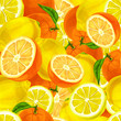 Citrus fruits seamless background Citrus fruits seamless background
