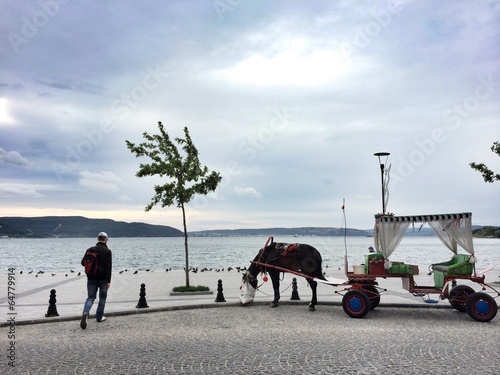 Instant Collection: At Arbası At Arbası