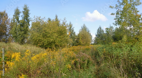 Photo: Panorama of meadow in full flower Panorama of meadow in full flower