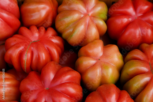 Photo: tomatoes tomatoes