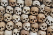 background of human skull background of human skull