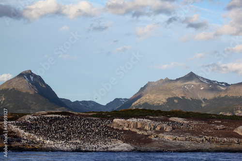 Photo: Beagle channel in Tierra del Fuego Beagle channel in Tierra del Fuego