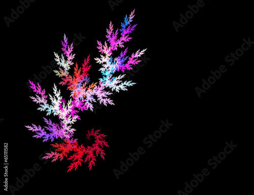 Illustration: Multicolor fractal flower on black background Multicolor fractal flower on black background