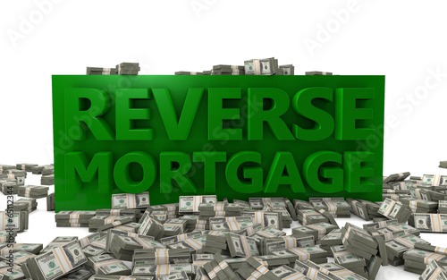 Illustration: Reverse Mortgage Financing Income Reverse Mortgage Financing Income