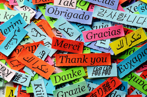 Photo: Thank You Thank You