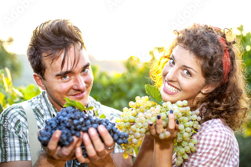 Photo: farmers showing grapes farmers showing grapes