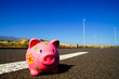 Pink Piggy Bank Pink Piggy Bank
