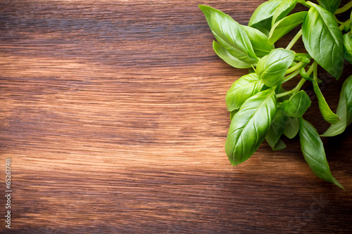 Photo: Basil. Basil.