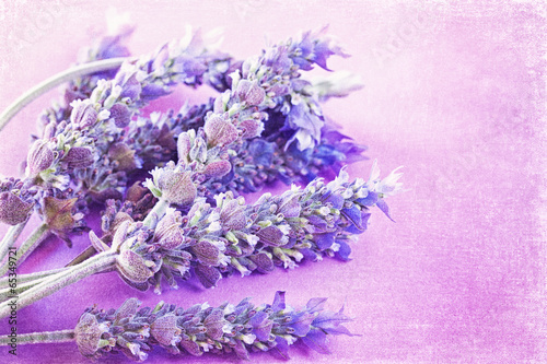 Bunch of a lavender flowers on a purple vintage background