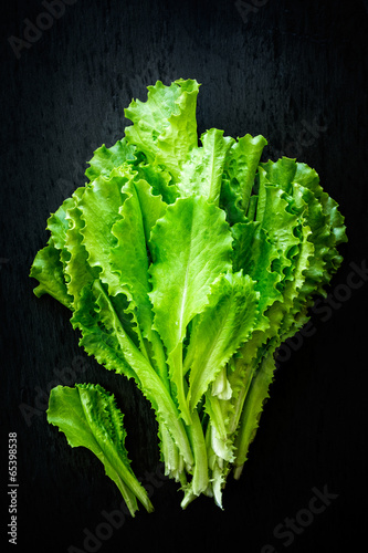 Photo: lettuce lettuce