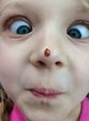 child with ladybird on her nose child with ladybird on her nose