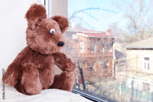 Photo: Toy-bear looking out window close-up Toy-bear looking out window close-up