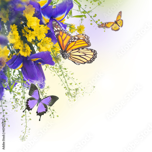 Photo: Blue irises with yellow daisies, floral background. Blue irises with yellow daisies, floral background.