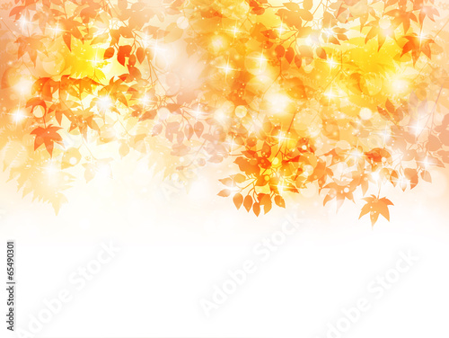 Vector: もみじ 紅葉 背景 もみじ 紅葉 背景