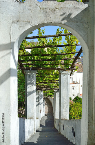 Photo: Giardino della Minerva - Salerno Giardino della Minerva - Salerno