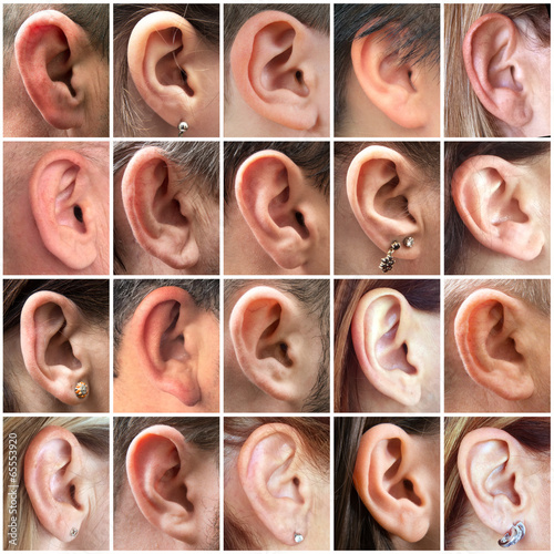 Photo: orecchie collage orecchie collage