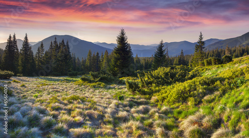 Photo: Colorful morning panorama of the Carpathian mountains. Colorful morning panorama of the Carpathian mountains.