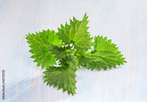 Photo: Fresh nettle leaves on a wooden table Fresh nettle leaves on a wooden table