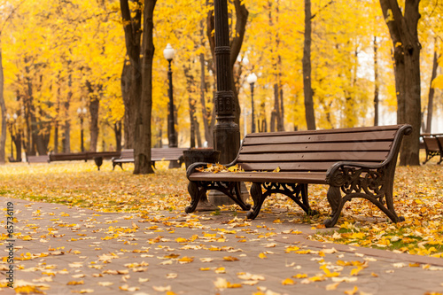 Photo: Empty bench in park Empty bench in park
