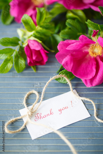 Photo: flowers rose hips flowers rose hips