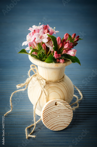 Photo: Weigela Weigela