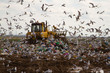 Landfill rubbish bulldozers processing garbage Landfill rubbish bulldozers processing garbage