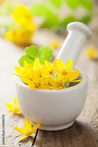 Photo: mortar with flowers and herbs for spa mortar with flowers and herbs for spa