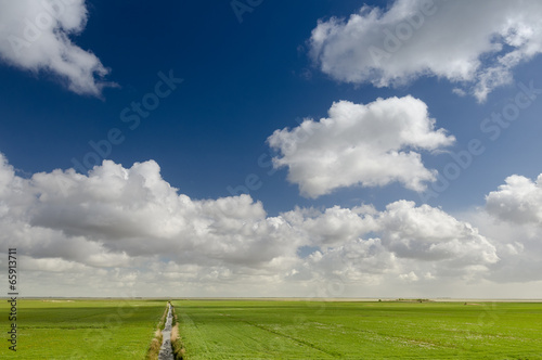 Photo: Beautiful polder landscape in Holland with typical Dutch clouds Beautiful polder landscape in Holland with typical Dutch clouds