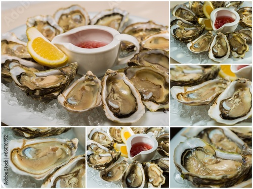Photo: Collageof platter of fresh organic raw oysters on ice Collageof platter of fresh organic raw oysters on ice