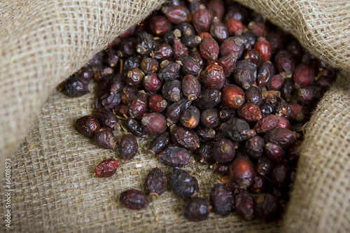 Photo: A lot of briar dry, closeup A lot of briar dry, closeup