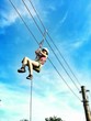Adrenaline Adrenaline