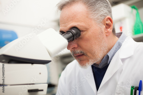 Photo: Man using a microscope in a laboratory Man using a microscope in a laboratory