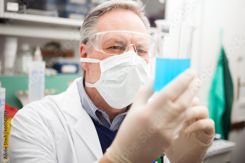 Photo: Scientist at work in a laboratory Scientist at work in a laboratory