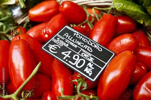 Photo: Pomodoro allungato Pomodoro allungato