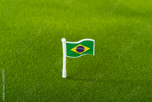 Photo: brazil flag on grass brazil flag on grass