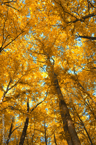 Photo: Autumn Autumn