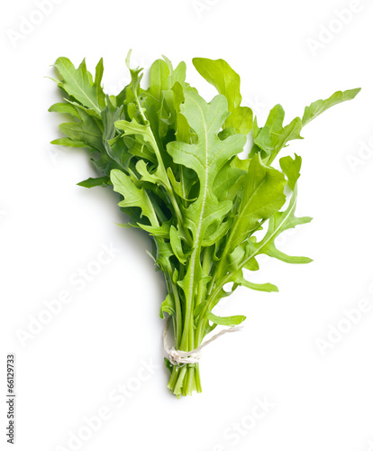 Photo: fresh arugula leaves fresh arugula leaves
