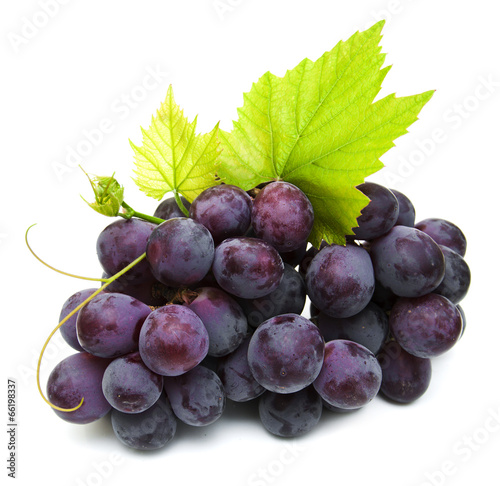Photo: Fresh grape Fresh grape