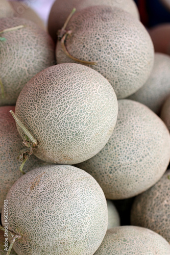 Photo: many green melons. many green melons.