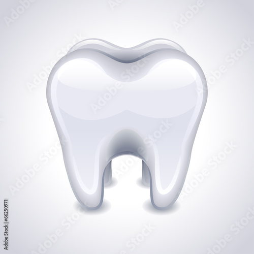 Vector: tooth tooth