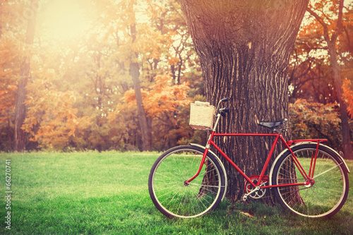 Photo: Vintage bicycle waiting near tree Vintage bicycle waiting near tree